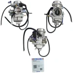 CARBURADOR COMPLETO APACHE 200 TVS