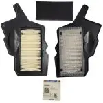 FILTRO DE AIRE RAIDER 125 TVS