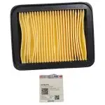 FILTRO AIRE APACHE 200 FI TVS