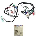 ARNES COMPLETO APACHE 160 180 160 4V TVS
